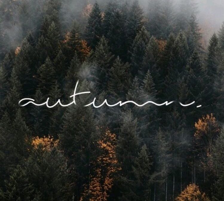 Autumn